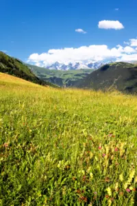 Sommerurlaub Serfaus – grüne Alpenwiesen und traditionelle Häuser