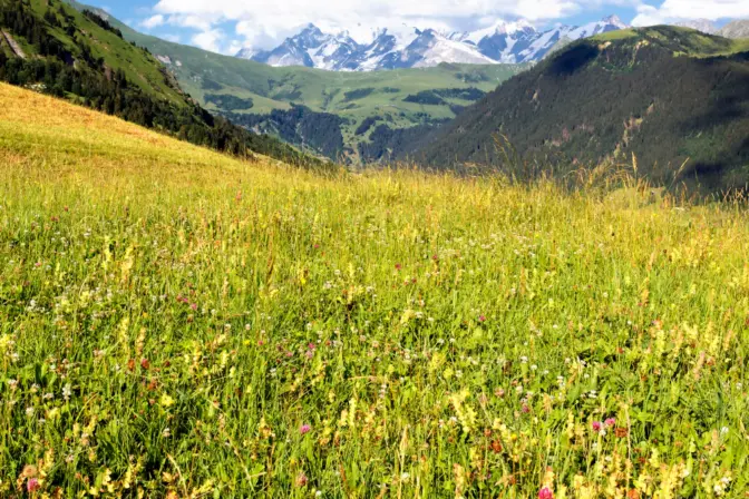Sommerurlaub Serfaus – Wandern, Erleben & Entspannen in Tirol