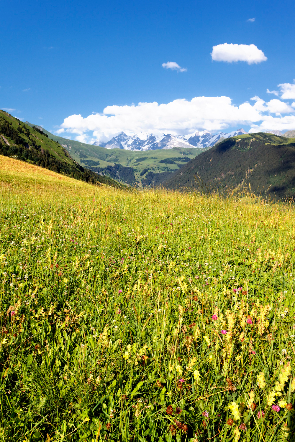 Sommerurlaub Serfaus – grüne Alpenwiesen und traditionelle Häuser